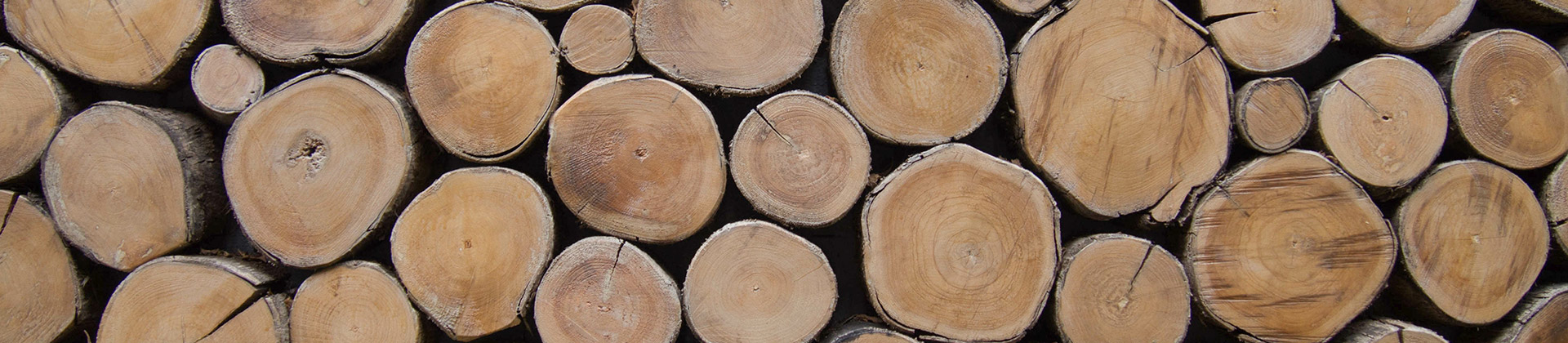 Erfahren Sie mehr über... Wir drucken. Verantwortungsbewusst.